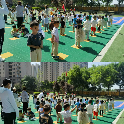 中央城明日之星幼儿园贝贝班——“育”见美好🌸，“共”同成长🎊