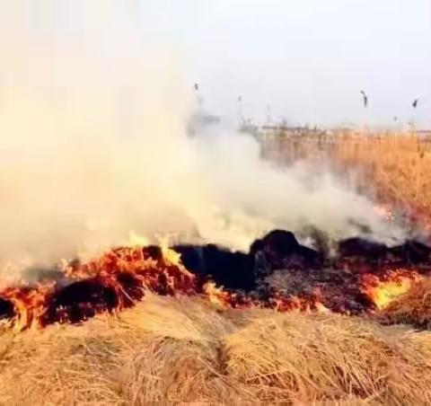 “小手拉大手”保护环境 禁烧秸秆 徐集第二中心小学禁烧主题班会