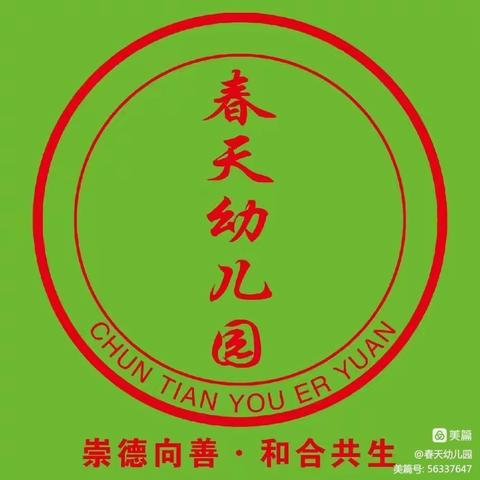 年检促提升，奋力向前进!                                ——春天幼儿园