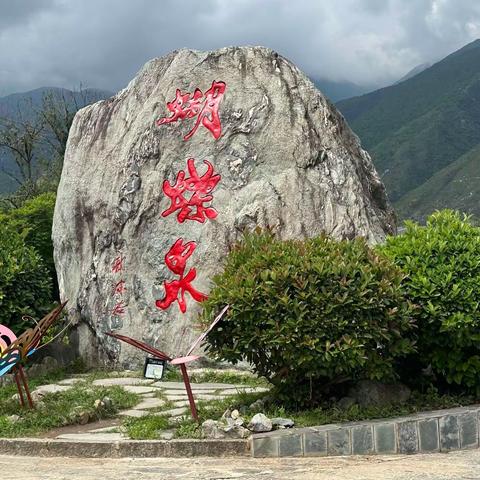 蝴蝶泉畔研学行，知行合一展风采——大理市喜洲镇中心完小“七彩苍洱思政课”研学活动