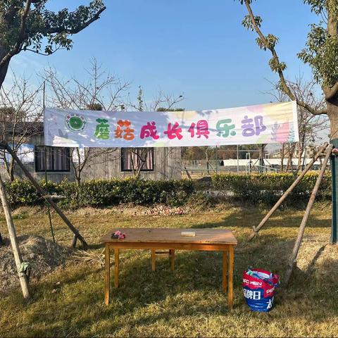 “走进自然，润泽童年”金秋农耕研学—￼向阳小学（朝阳校区￼）四（1）班