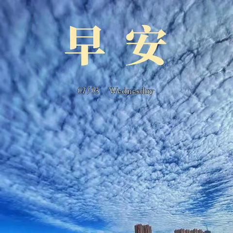 奋进新征程 建功新时代｜康乐县每日工作剪影之1430（2023.07.04）