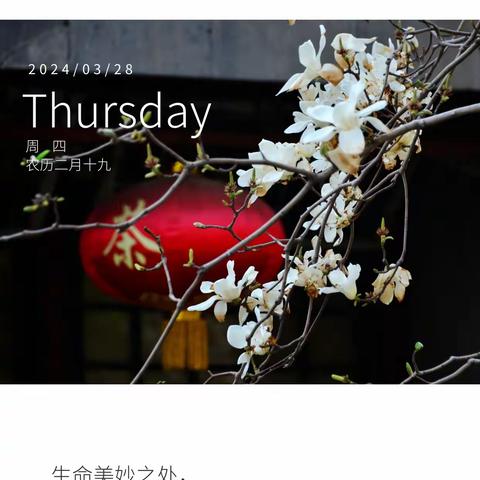 奋进新征程 建功新时代｜康乐县每日工作剪影之1651（2024.03.27）