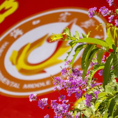 喊出青春强音     奔赴金色梦想——海口实验中学2023年“燃烧激情  绽放精彩”高三喊楼活动