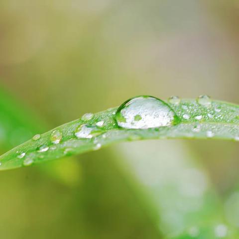 趣味晨间游戏—肥东县实验幼儿园吾悦园小四班