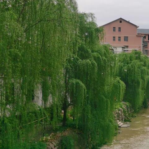 【洞溪完小】踏青节活动