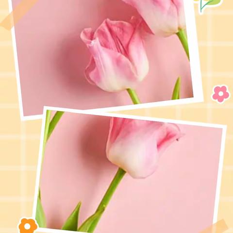 2024年春季学期家长会暨三八女神节亲子活动邀请函