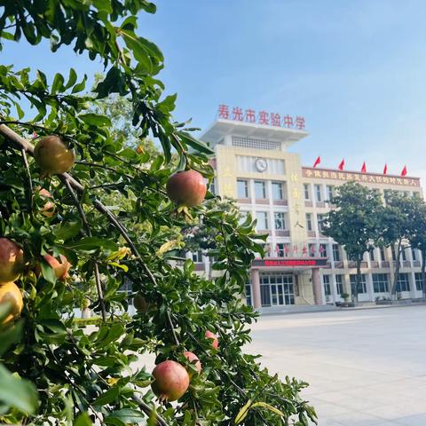 乘风破浪，百舸争流             ——学科素养特色作品展示活动