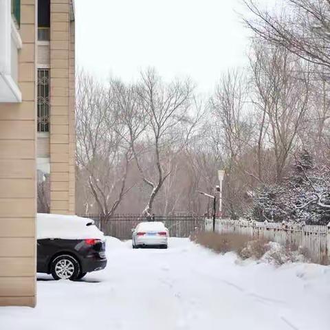 宁城县瞭望少年团———雪美