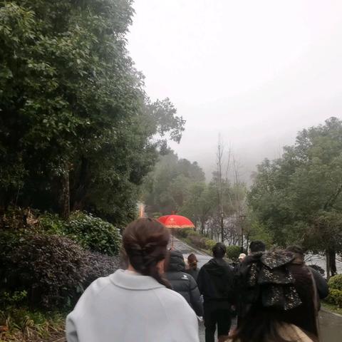 唐吉忠的简篇