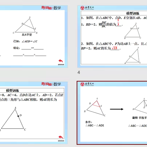 2024年春季学期最满意的成果（常见相似模型）——蔡漫凡