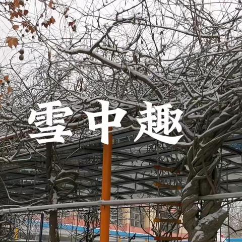 “冬雪映美景，雪人笑语欢”无极县第二幼儿园打雪仗主题活动