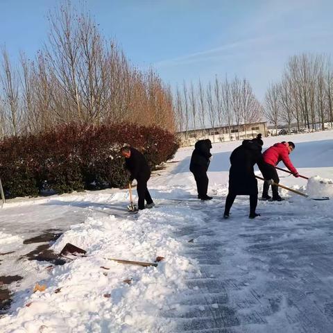 铲雪除冰，情暖寒冬－－陈贯庄学校