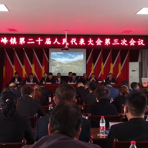 翠峰镇第二十届人民代表大会第三次会议胜利召开