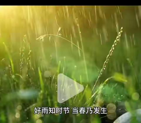 【“童”样精彩】春意萌动，“雨”你相遇——二十四节气之雨水