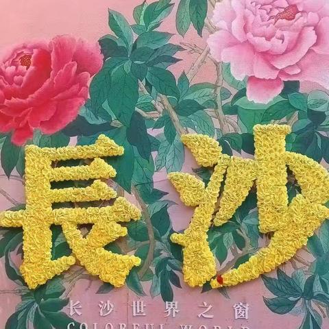 表姐妹的高考(二):志愿与期待