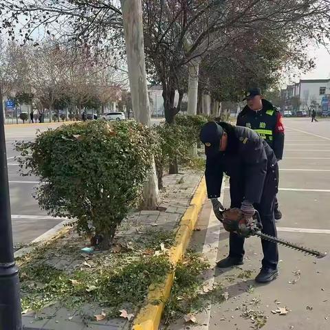 秦俑车场绿化升级，全年计划稳健起步
