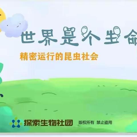 文明小学探索生物社团