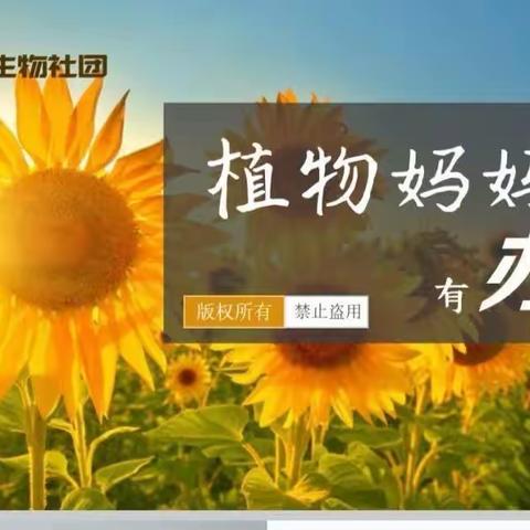 文明大道小学探索生物社团