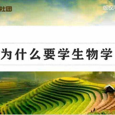 钢城小学探索生物社团