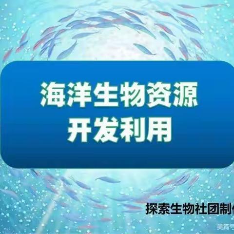 钢城小学探索生物社团