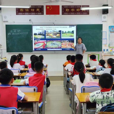 教以潜心，研以致远----新兴小学三四年级语文组教研活动美篇