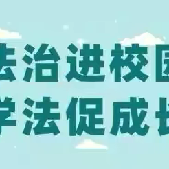 法治进校园，护航助成长——南东坊镇中学“法治进校园”教育活动