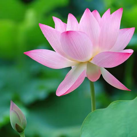 “声”生不息 “音”你精彩——颍川路学校“3+×”暑期音乐综合实践活动作品展