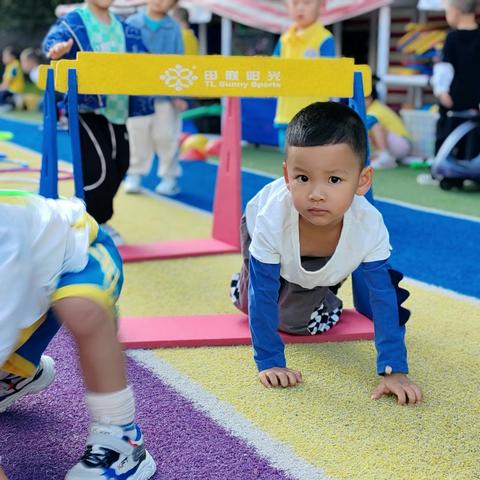 观山湖第四十一幼儿园小七班一周精彩回顾