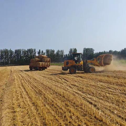 北郭村携手保农润谷科技有限公司：秸秆回收开启绿色循环新路径