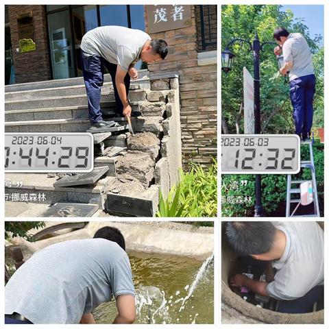 世茂名人湾6月第一周服务周报🐳🐳