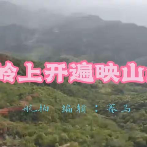 岭上开遍映山红