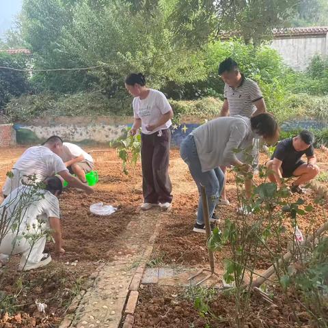 躬耕田园，播撒希望——三8班种植基地建设纪实