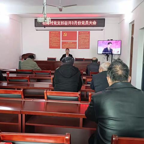 规范党员会议形式 强化基层党建实效