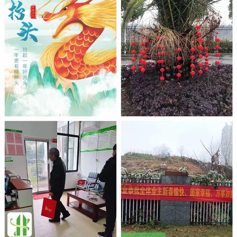 2024年2月物业服务月报 冬去春来，暖风拂面🎄 在这万物复苏的季节里🍀 我们不忘初心，砥砺前行💓 现将安新物业2024年2月份 服务月报呈现于您🌹 祝大家新年快乐！ 龙年大发！