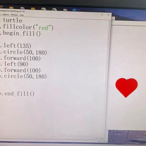 特色社团展示——青少年编程Python（五年级）