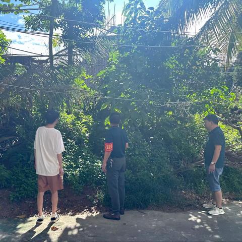 儋州市那大镇那恁村委会开展秸秆禁烧巡查工作