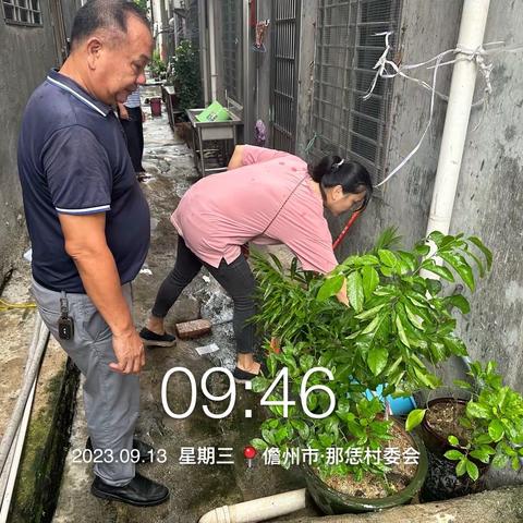 那大镇那恁村委会开展“巩卫”卫生整治工作