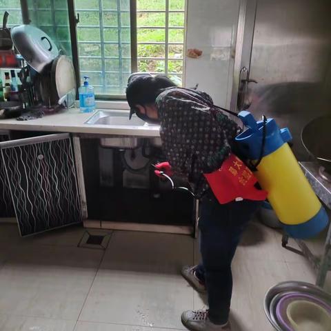 那大镇那恁村委会开展“加强防蚊灭蚊预防登革热”的宣传活动