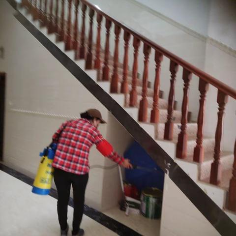 那大镇那恁村委会开展“巩卫”卫生整治工作