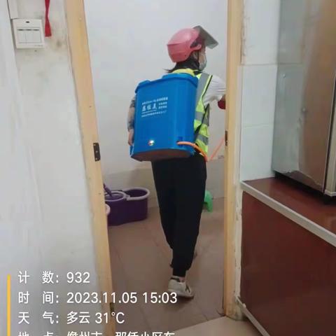 那大镇那恁村委会开展“加强防蚊灭蚊预防登革热”的宣传活动