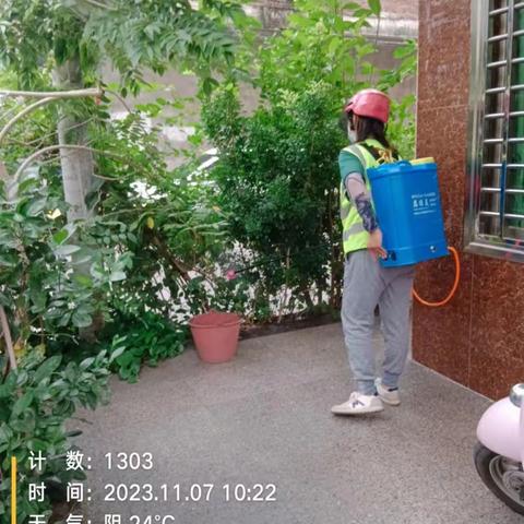 那大镇那恁村委会开展“加强防蚊灭蚊预防登革热”的宣传活动