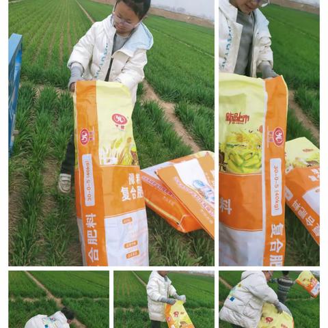 希望小学三一班孝亲功课展示