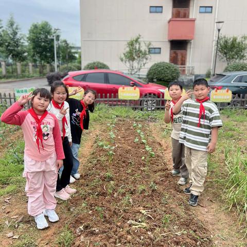 “植”此春色，乐享耕趣-武义县少工委红领巾小站长桐琴小学306 海燕中队