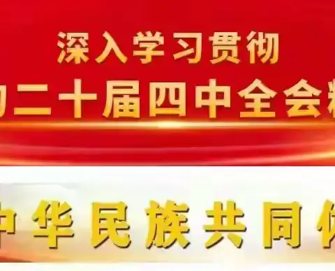 让党的二十届四中全会 精神在校园落地生根