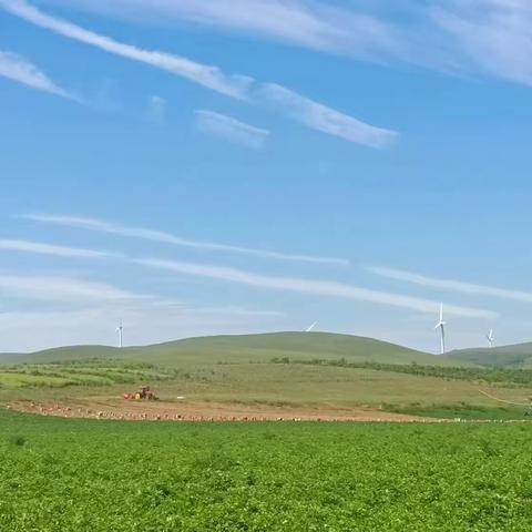 多伦分公司种植客户走访开发系列活动