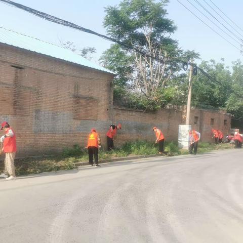 环境整治再发力   共创生态宜居星