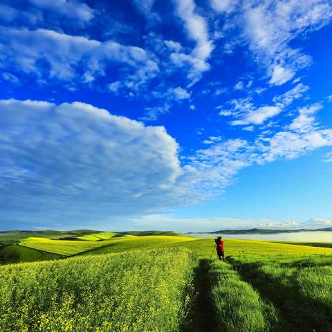 包连山 //《牧民歌唱共产党》