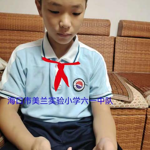 海口市美兰实验小学六年级少先队员观看“红领巾爱祖国”网上主题队日活动照片