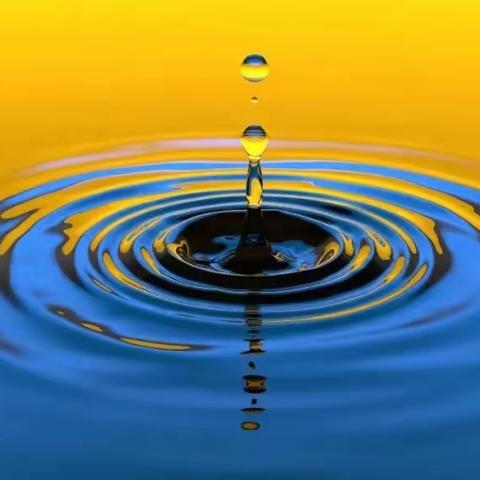 水丰万物欣--记溧水白马中心小学“珍惜水资源，保护水生态”环保小局长实践活动